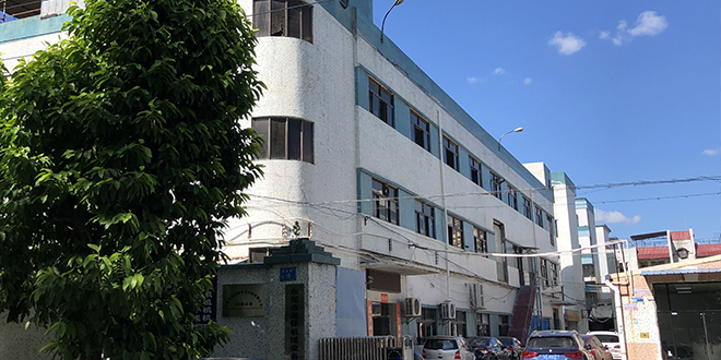 东莞端子线厂家 